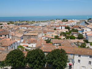 Vétérinaire de garde Saint-Martin